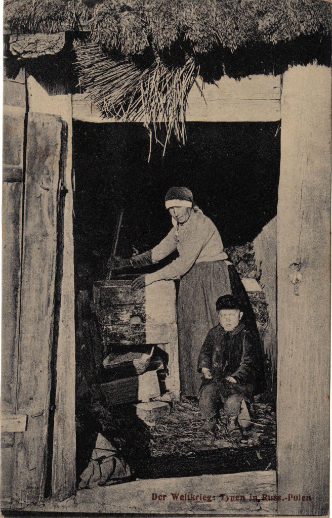 1915-05-12 LIR84 Otto Theodor Wagner - Der Weltkrieg Typen in Russ.-Polen