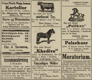 Annoncer fra bagsiden af Flensborg Avis den 7. maj 1915